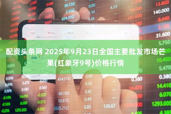 配资头条网 2025年9月23日全国主要批发市场芒果(红象牙9号)价格行情